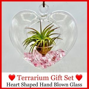 #1 HEART Shaped TERRARIUM Gift Set - Hand Blown Glass & 10 Gems FREE Air Plant
